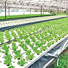 film perforato di messa a terra, film della barriera del vapore, film della serra, Panda Film agricolo, film riflettente di Maylar 13