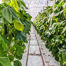 film perforato di messa a terra, film della barriera del vapore, film della serra, Panda Film agricolo, film riflettente di Maylar 12