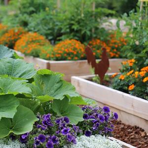 Stuoia del diserbo, copertura al suolo, letto di fiore, pacciame, lastricatori, bordo, pali del giardino, barriera dell'erbaccia, paesaggio 14