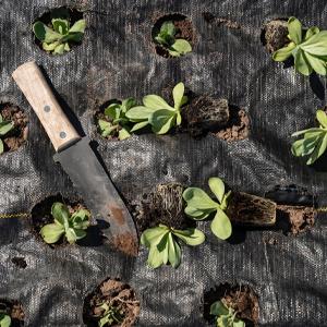 Stuoia del diserbo, copertura al suolo, letto di fiore, pacciame, lastricatori, bordo, pali del giardino, barriera dell'erbaccia, paesaggio 19