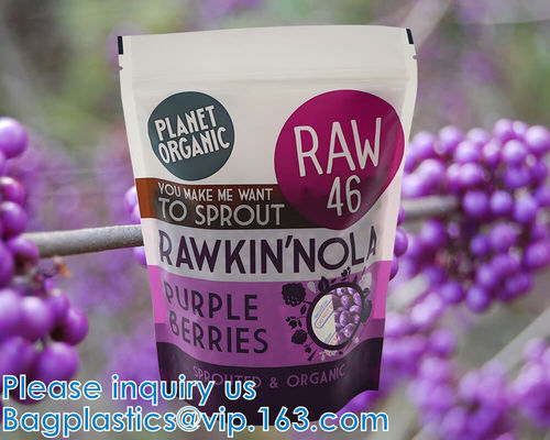 Stia sul sacchetto con la chiusura lampo risigillabile e la chiara finestra, stagnola multiuso, di piccola dimensione, di alluminio di Mylar