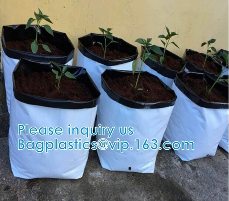 Le borse della piantatrice, coltivano le borse, coltivanti le borse, vaso della scuola materna, la serra, il film agricolo, giardino dell'orticoltura