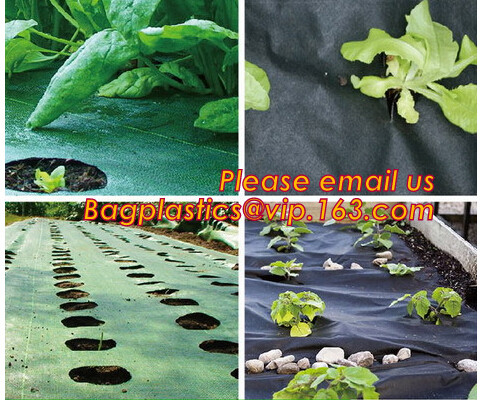 Serra, pellicola di polietilene agricola, film del pacciame, prodotti orticoli, involucro perforato, pomodoro, fiori