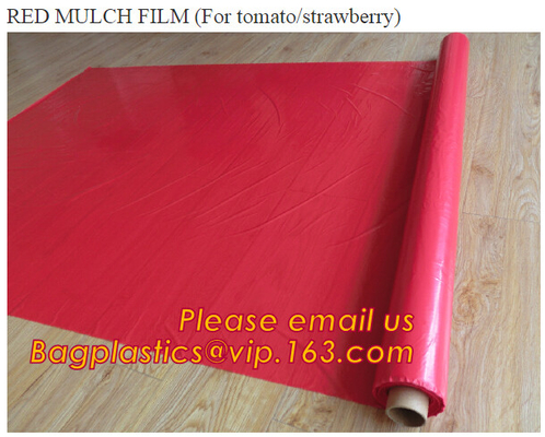 Serra, pellicola di polietilene agricola, film del pacciame, prodotti orticoli, involucro perforato, pomodoro, fiori