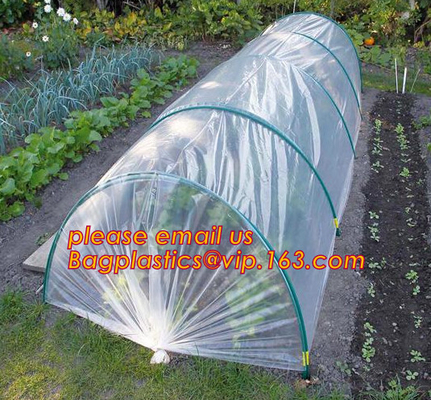 Serra, pellicola di polietilene agricola, film del pacciame, prodotti orticoli, involucro perforato, pomodoro, fiori