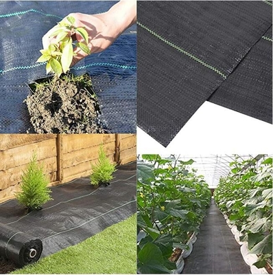 Stuoia del diserbo, copertura al suolo, letto di fiore, pacciame, lastricatori, bordo, pali del giardino, barriera dell'erbaccia, paesaggio