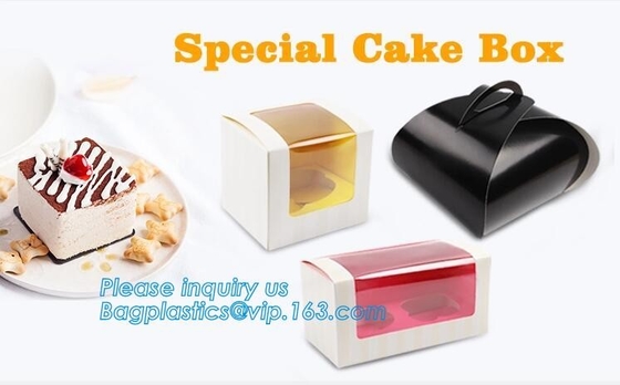 La SCATOLA DA PASTICCERIA della FETTA dell'alimento, l'insalata, la SCATOLA di HUMBURGER, VASSOIO della BARCA, PRANZA SCATOLA, l'OPERATORE, il TRASPORTATORE, la CIOTOLA, TAZZA