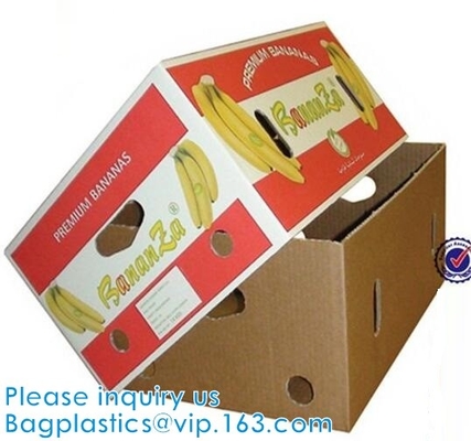 Scatola di imballaggio per frutta ondulata, laminazione lucida, stampa offset, scatola pieghevole, cono di fiori, imballaggio Flowral