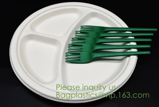 Biodegradabile, Sugar Cane, la polpa di bambù della canna da zucchero, Bento Box, contenitore di alimento della bagassa, elimini la scatola, i piatti &amp; le ciotole