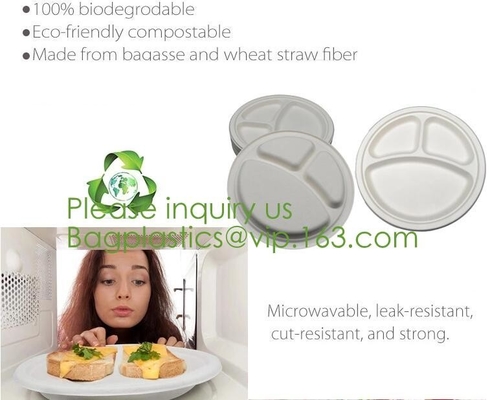 Biodegradabile, Sugar Cane, la polpa di bambù della canna da zucchero, Bento Box, contenitore di alimento della bagassa, elimini la scatola, i piatti &amp; le ciotole