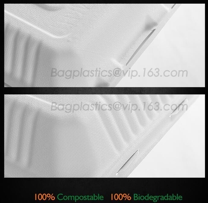 La copertura superiore concimabile elimina i contenitori di alimento, la bagassa eliminabile naturale, ecologica, Sugar Cane Fibers