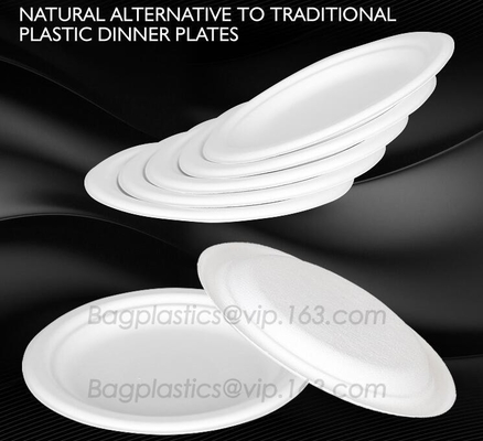 La copertura superiore concimabile elimina i contenitori di alimento, la bagassa eliminabile naturale, ecologica, Sugar Cane Fibers