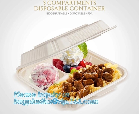 Scatola ecologica d'approvvigionamento del pasto del pranzo dell'amido del compartimento del contenitore, imballaggio asportabile eliminabile, da portar via