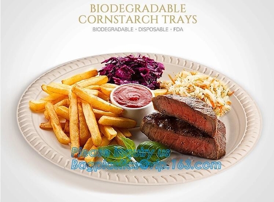 Scatola ecologica d'approvvigionamento del pasto del pranzo dell'amido del compartimento del contenitore, imballaggio asportabile eliminabile, da portar via