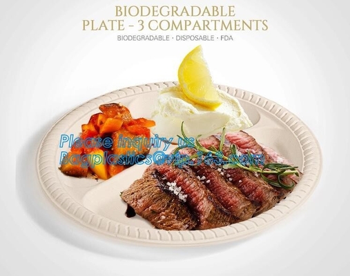 Scatola ecologica d'approvvigionamento del pasto del pranzo dell'amido del compartimento del contenitore, imballaggio asportabile eliminabile, da portar via