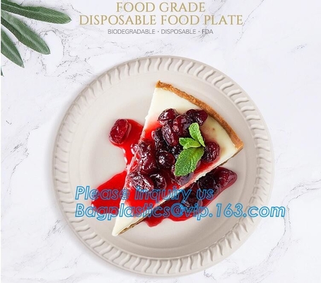 Scatola ecologica d'approvvigionamento del pasto del pranzo dell'amido del compartimento del contenitore, imballaggio asportabile eliminabile, da portar via