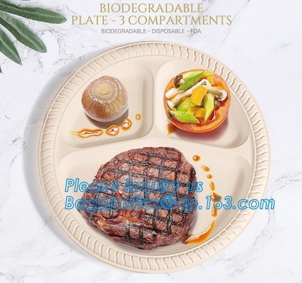 Scatola ecologica d'approvvigionamento del pasto del pranzo dell'amido del compartimento del contenitore, imballaggio asportabile eliminabile, da portar via