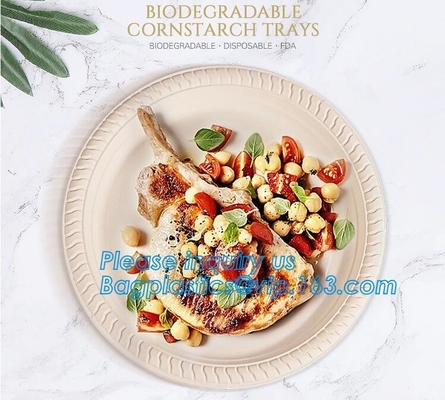 Scatola ecologica d'approvvigionamento del pasto del pranzo dell'amido del compartimento del contenitore, imballaggio asportabile eliminabile, da portar via