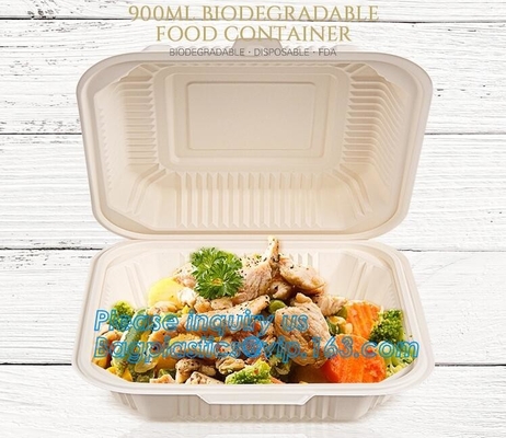 Scatola ecologica d'approvvigionamento del pasto del pranzo dell'amido del compartimento del contenitore, imballaggio asportabile eliminabile, da portar via
