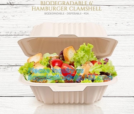 Scatola ecologica d'approvvigionamento del pasto del pranzo dell'amido del compartimento del contenitore, imballaggio asportabile eliminabile, da portar via