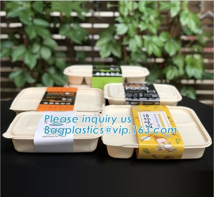 Porti via gli alimenti a rapida preparazione, il contenitore di imballaggio del compartimento, i contenitori, l'amido biodegradabile, scatola ambientale del pasto del pranzo