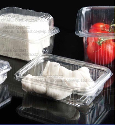 Il pacchetto pieghevole dell'insalata della bolla provvisto di cardini copertura superiore, contenitore della preparazione del pasto del compartimento ermetico porta via la scatola di pranzo