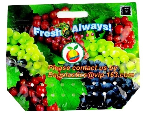 Tasca della chiusura lampo, pacchetto di verdure, stampa ricoprente UV Doypack, imballaggio per alimenti, pacchetto a chiusura lampo di stoccaggio del cursore della frutta