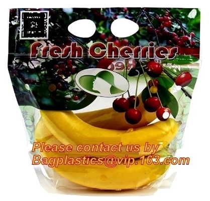 Stia sul sacchetto, borse di plastica della serratura dello zip della chiusura lampo del cursore del chiaro del commestibile del congelatore dell'alimento pacchetto riutilizzabile della frutta
