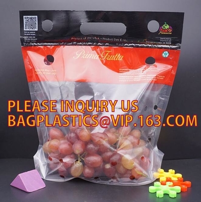 Stia sul sacchetto, borse di plastica della serratura dello zip della chiusura lampo del cursore del chiaro del commestibile del congelatore dell'alimento pacchetto riutilizzabile della frutta