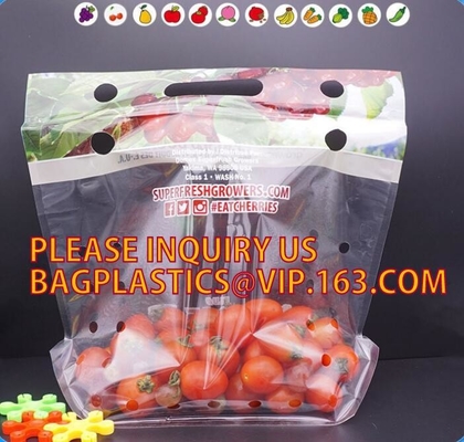 Stia sul sacchetto, borse di plastica della serratura dello zip della chiusura lampo del cursore del chiaro del commestibile del congelatore dell'alimento pacchetto riutilizzabile della frutta