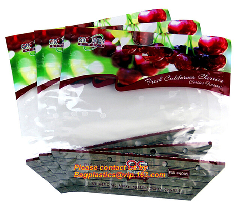 Stia sul sacchetto, borse di plastica della serratura dello zip della chiusura lampo del cursore del chiaro del commestibile del congelatore dell'alimento pacchetto riutilizzabile della frutta