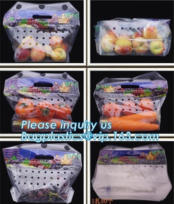 Chiaro supporto a chiusura lampo sulle borse d'imballaggio del sacchetto della frutta, borse scaricate dei prodotti con la chiusura lampo, frutta di verdure al minuto