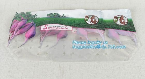 Supporto della chiusura lampo di Empaque Alimentos sulla borsa asciutta d'imballaggio di imballaggio per alimenti della frutta secca del mango della borsa del dado di plastica dello spuntino