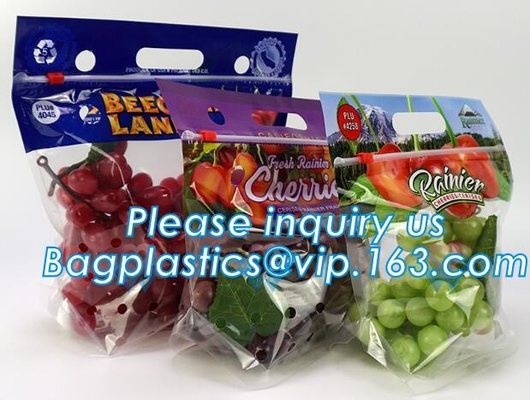 L'insalata fresca della lattuga fruttifica ortaggi freschi dell'anti nebbia dei sacchetti BOPP che imballano le borse, il vegebag, logo della stampa