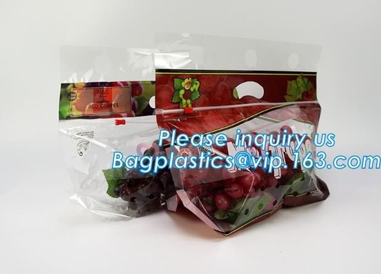 L'insalata fresca della lattuga fruttifica ortaggi freschi dell'anti nebbia dei sacchetti BOPP che imballano le borse, il vegebag, logo della stampa