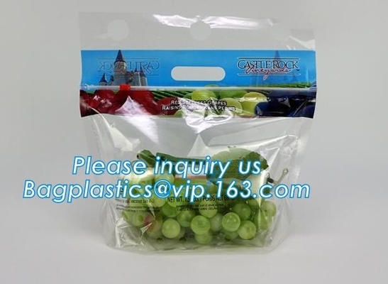 L'insalata fresca della lattuga fruttifica ortaggi freschi dell'anti nebbia dei sacchetti BOPP che imballano le borse, il vegebag, logo della stampa