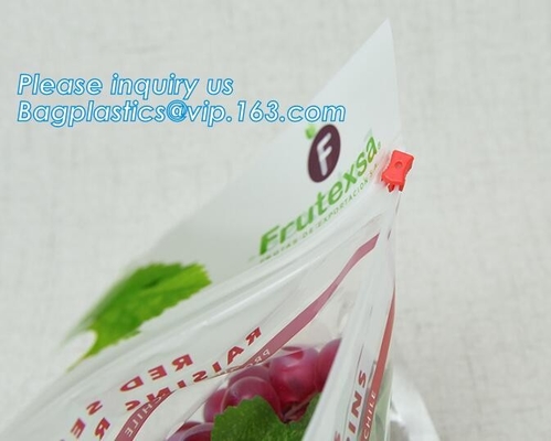 L'insalata fresca della lattuga fruttifica ortaggi freschi dell'anti nebbia dei sacchetti BOPP che imballano le borse, il vegebag, logo della stampa