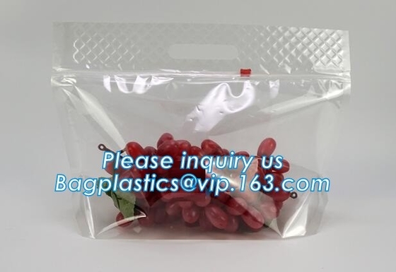 L'insalata fresca della lattuga fruttifica ortaggi freschi dell'anti nebbia dei sacchetti BOPP che imballano le borse, il vegebag, logo della stampa