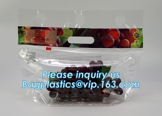 L'insalata fresca della lattuga fruttifica ortaggi freschi dell'anti nebbia dei sacchetti BOPP che imballano le borse, il vegebag, logo della stampa