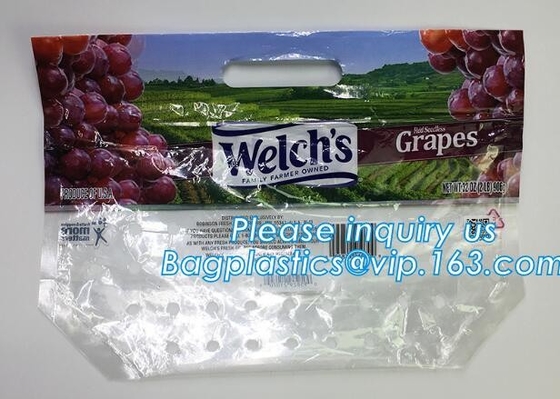 L'insalata fresca della lattuga fruttifica ortaggi freschi dell'anti nebbia dei sacchetti BOPP che imballano le borse, il vegebag, logo della stampa
