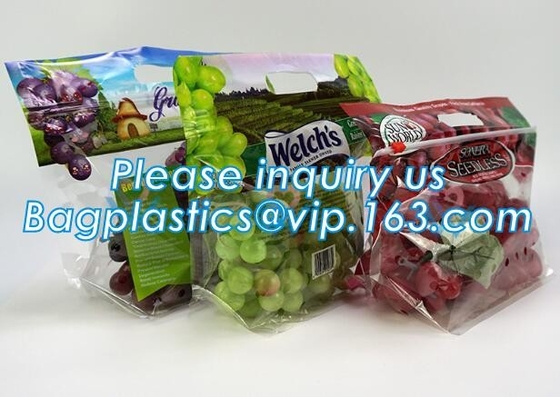 L'insalata fresca della lattuga fruttifica ortaggi freschi dell'anti nebbia dei sacchetti BOPP che imballano le borse, il vegebag, logo della stampa