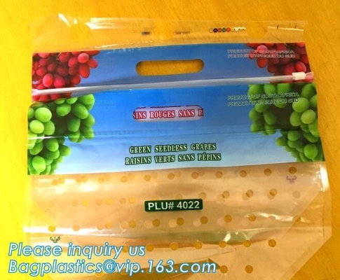 L'insalata fresca della lattuga fruttifica ortaggi freschi dell'anti nebbia dei sacchetti BOPP che imballano le borse, il vegebag, logo della stampa