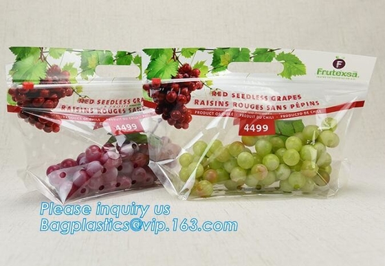 L'insalata fresca della lattuga fruttifica ortaggi freschi dell'anti nebbia dei sacchetti BOPP che imballano le borse, il vegebag, logo della stampa