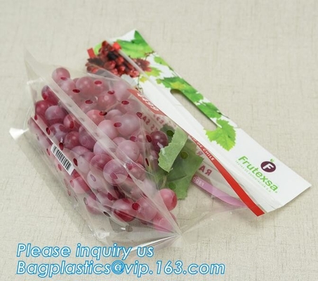 L'insalata fresca della lattuga fruttifica ortaggi freschi dell'anti nebbia dei sacchetti BOPP che imballano le borse, il vegebag, logo della stampa