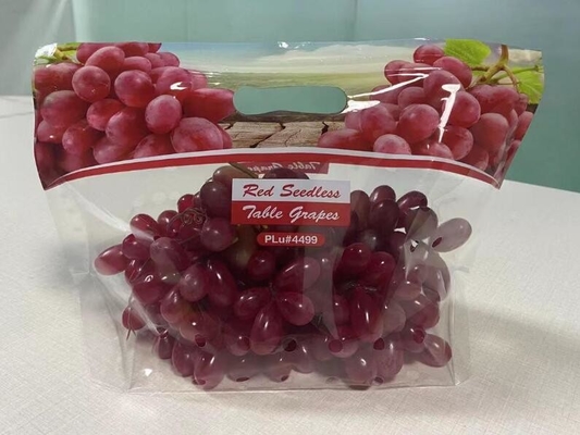 L'insalata fresca della lattuga fruttifica ortaggi freschi dell'anti nebbia dei sacchetti BOPP che imballano le borse, il vegebag, logo della stampa