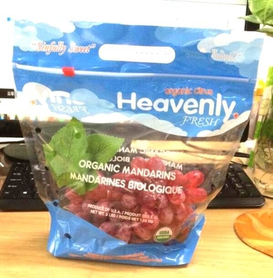L'insalata fresca della lattuga fruttifica ortaggi freschi dell'anti nebbia dei sacchetti BOPP che imballano le borse, il vegebag, logo della stampa