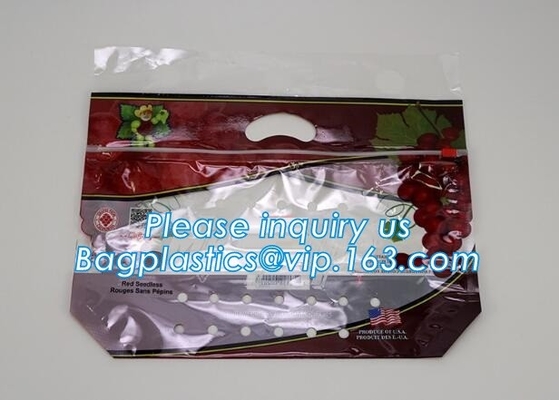 L'insalata fresca della lattuga fruttifica ortaggi freschi dell'anti nebbia dei sacchetti BOPP che imballano le borse, il vegebag, logo della stampa