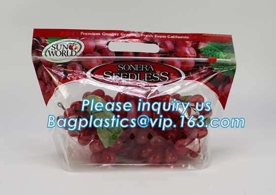 L'insalata fresca della lattuga fruttifica ortaggi freschi dell'anti nebbia dei sacchetti BOPP che imballano le borse, il vegebag, logo della stampa