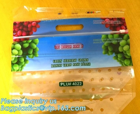 L'insalata fresca della lattuga fruttifica ortaggi freschi dell'anti nebbia dei sacchetti BOPP che imballano le borse, il vegebag, logo della stampa
