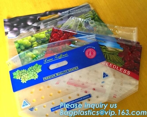 L'insalata fresca della lattuga fruttifica ortaggi freschi dell'anti nebbia dei sacchetti BOPP che imballano le borse, il vegebag, logo della stampa